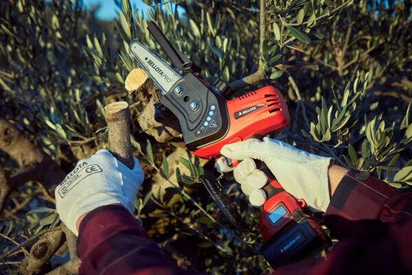 tijeras de podar electricas para almendros