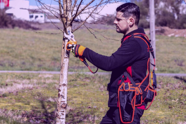 Tijeras de podar eléctricas con mochila