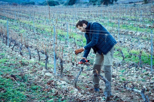 tijeras de podar electricas para vina