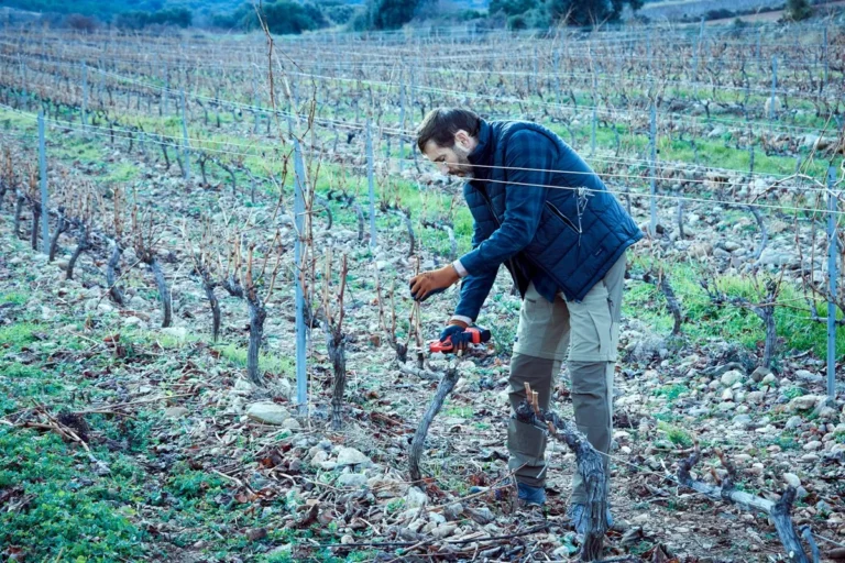 tijeras de podar electricas para vina